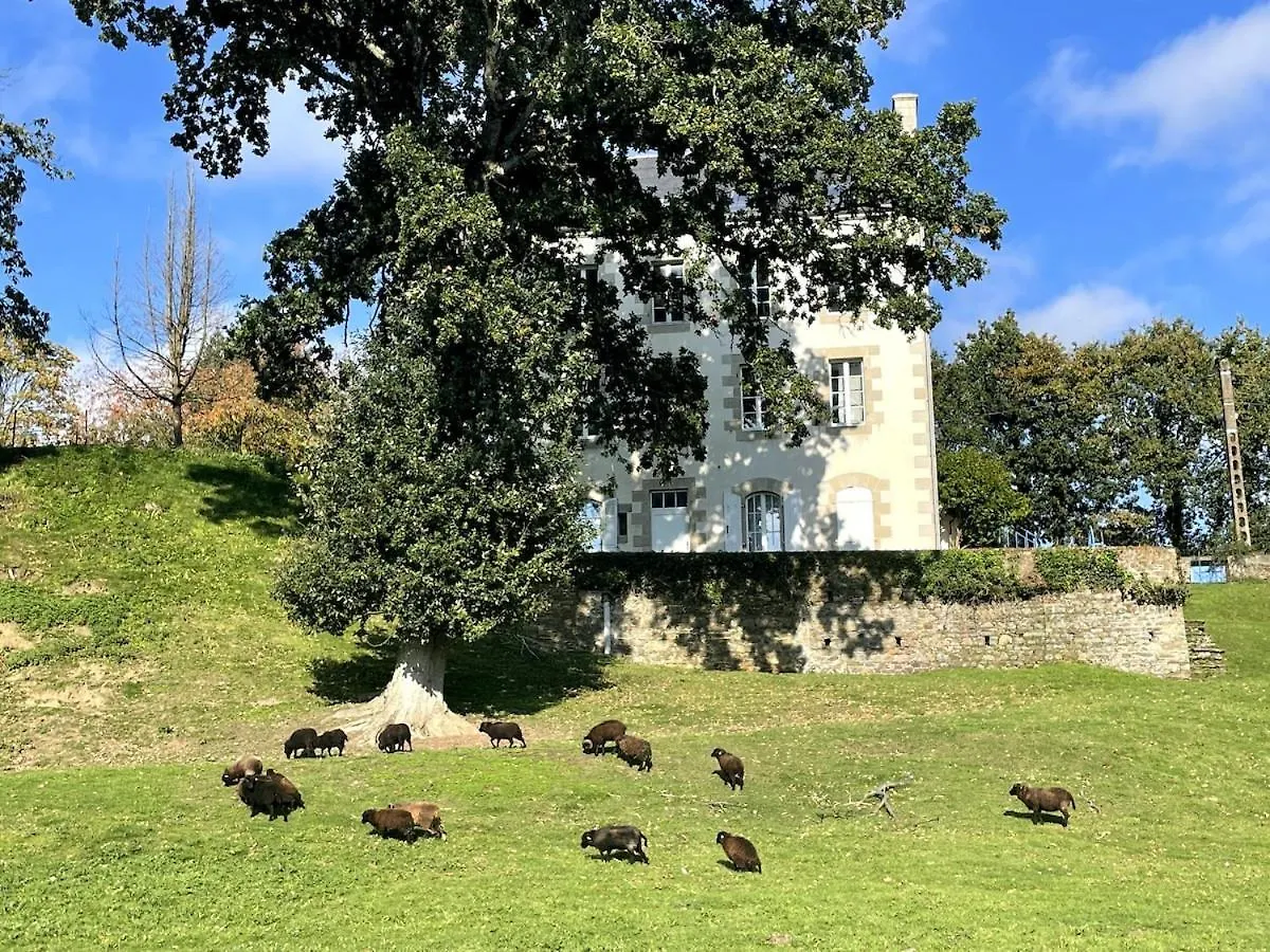 Pontrieux - Moutons Ouessant - Riviere Trieux Daire