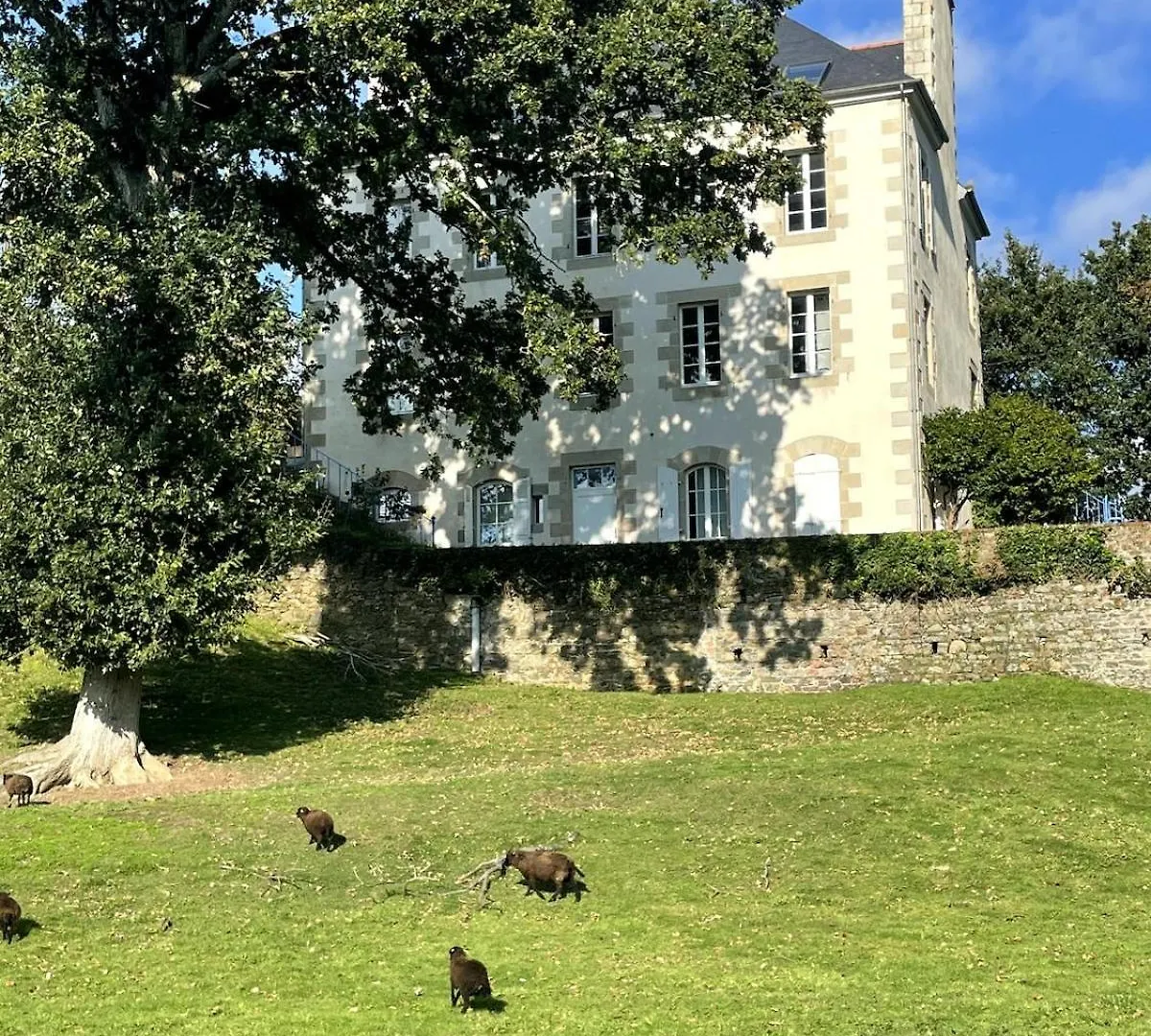 Pontrieux - Moutons Ouessant - Riviere Trieux Daire